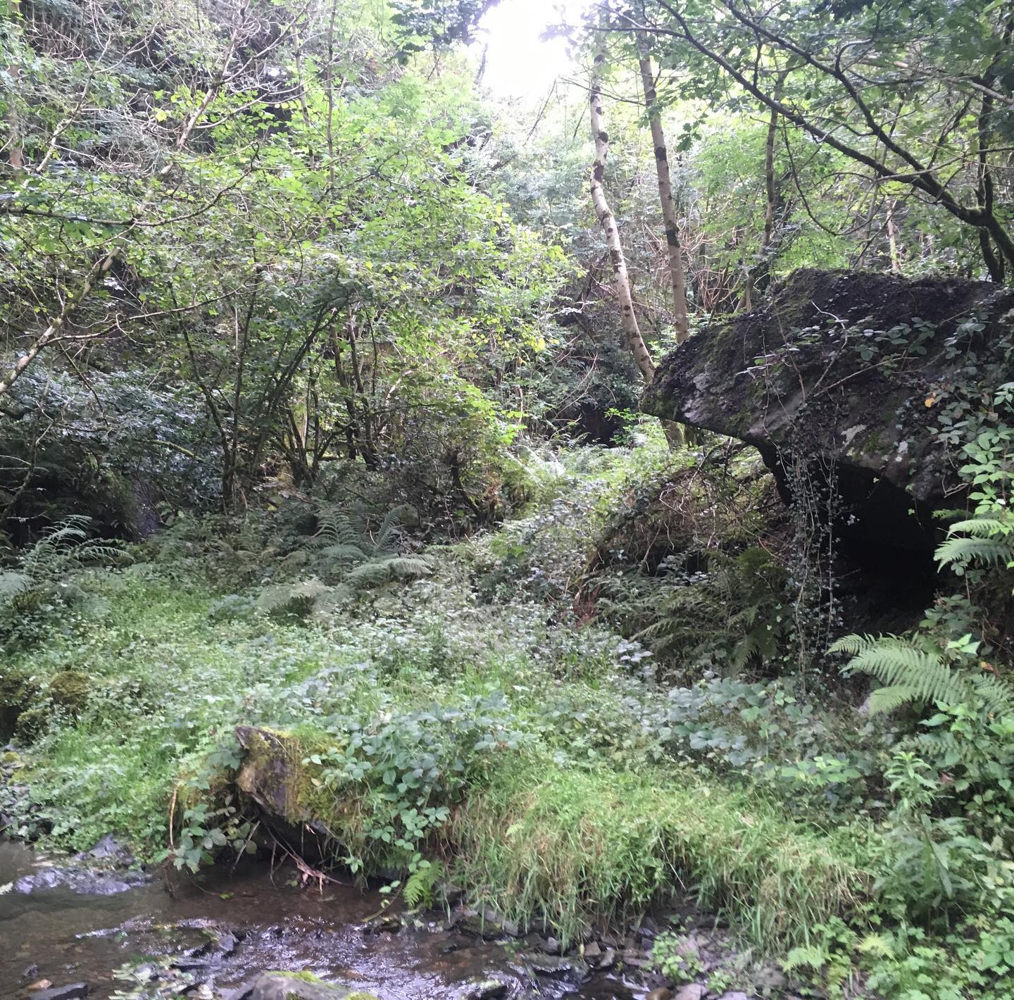 Book Hideaway Retreat Site