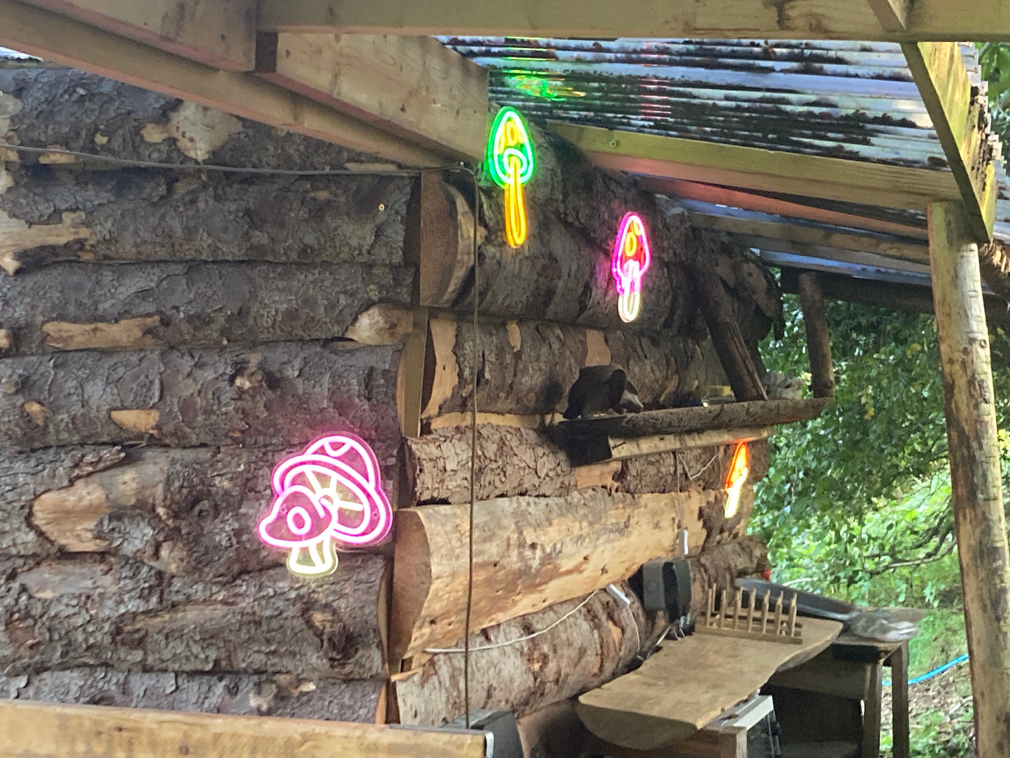 Book Remote Cabin & Glamping site
