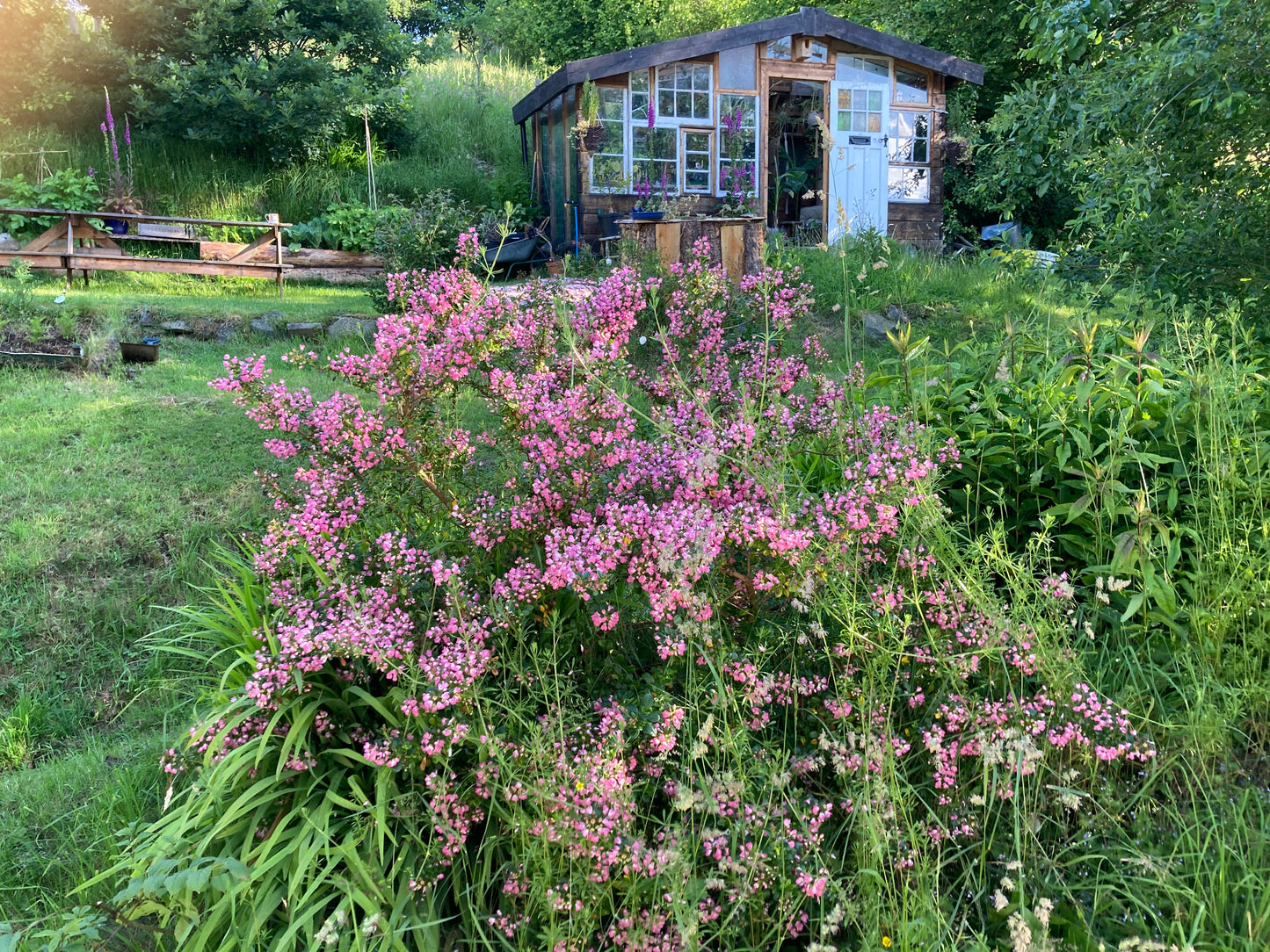 Book Hideaway Retreat Site